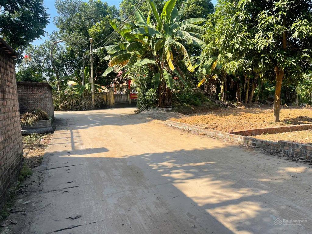 148.4m² trung tâm phường tùng thiện tp hà nội giá 15tr/m², đón sóng hạ tầng vành đai 5