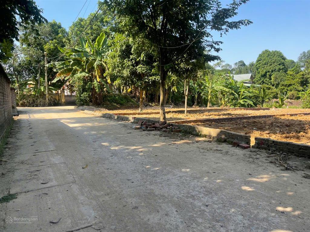 148.4m² trung tâm phường tùng thiện tp hà nội giá 15tr/m², đón sóng hạ tầng vành đai 5