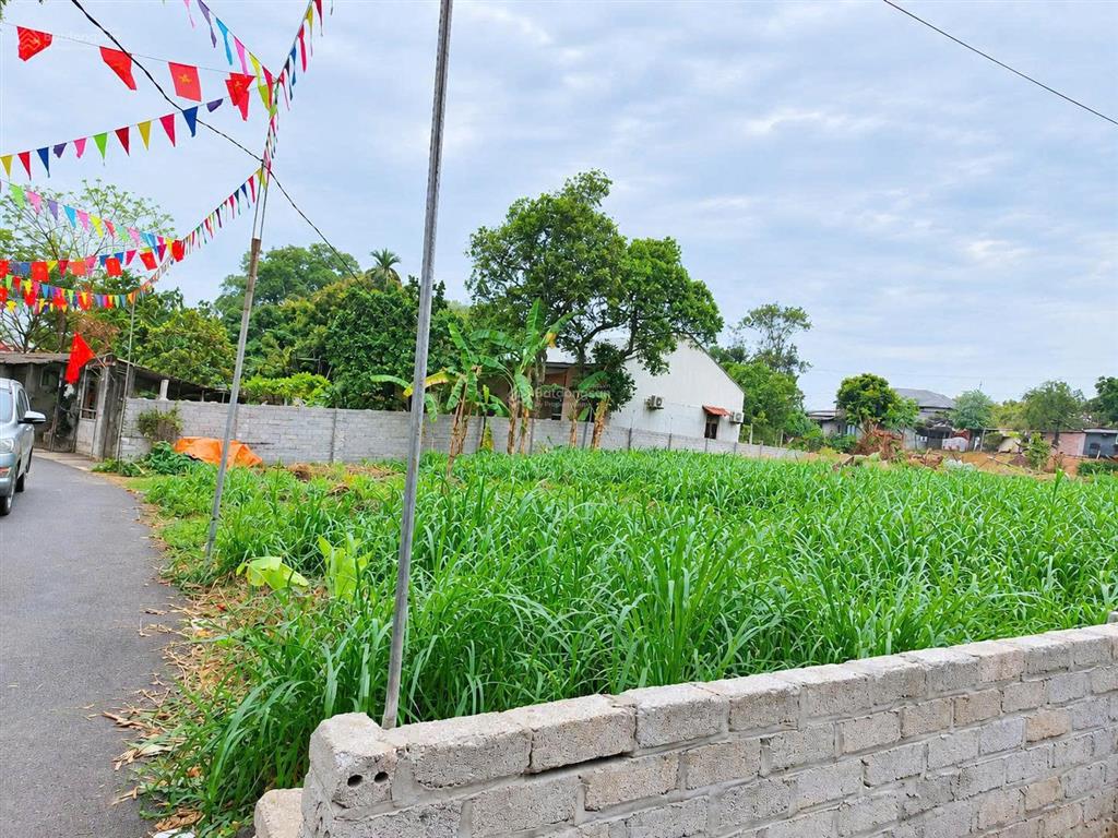 800m²  đất sổ đỏ hà nội  trung tâm phường  hà nội, kho xưởng nhà vườn, đầu tư