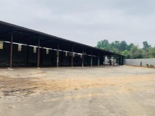 Cho thuê kho, nhà xưởng, đất tại đội 1 tháng đầu, 25 triệu vnd, 3000 m