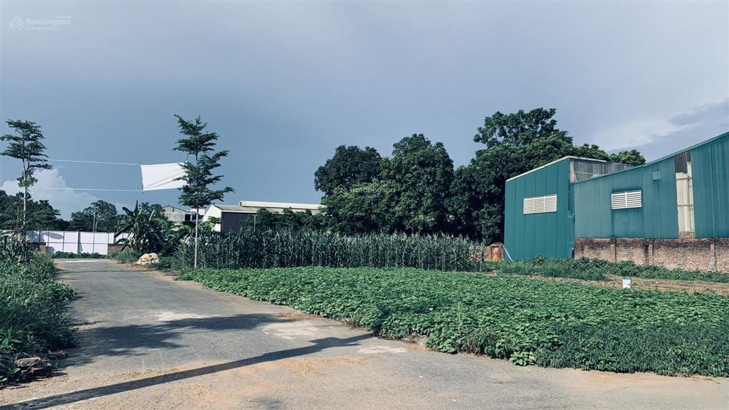 Bán đất thôn 7, hà nội giá siêu hời 34 triệu/m2, 127m2