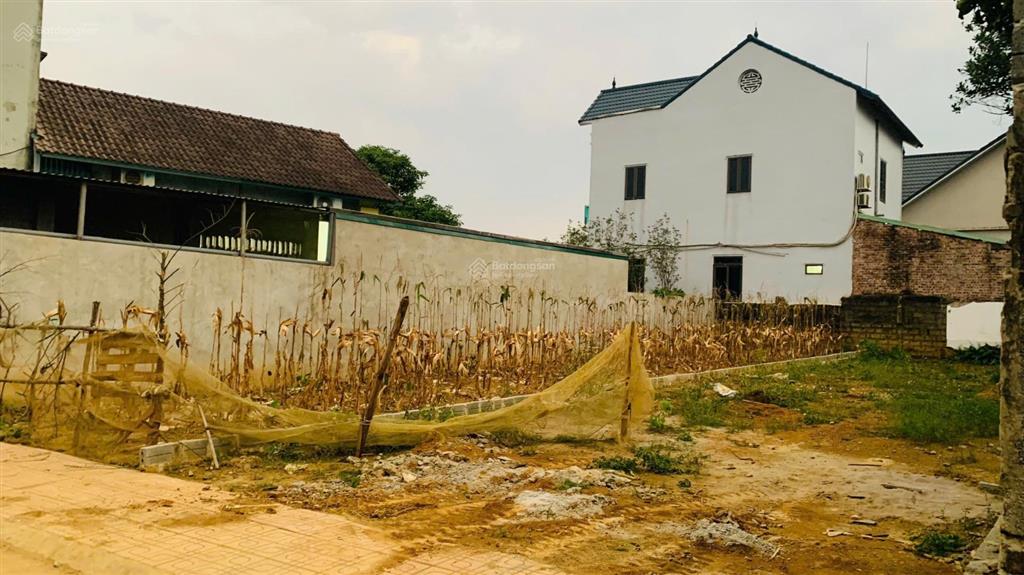 Hàng hiếm tại đông yên, quốc oai, 20 triệu / m2, 149.8m2 đất