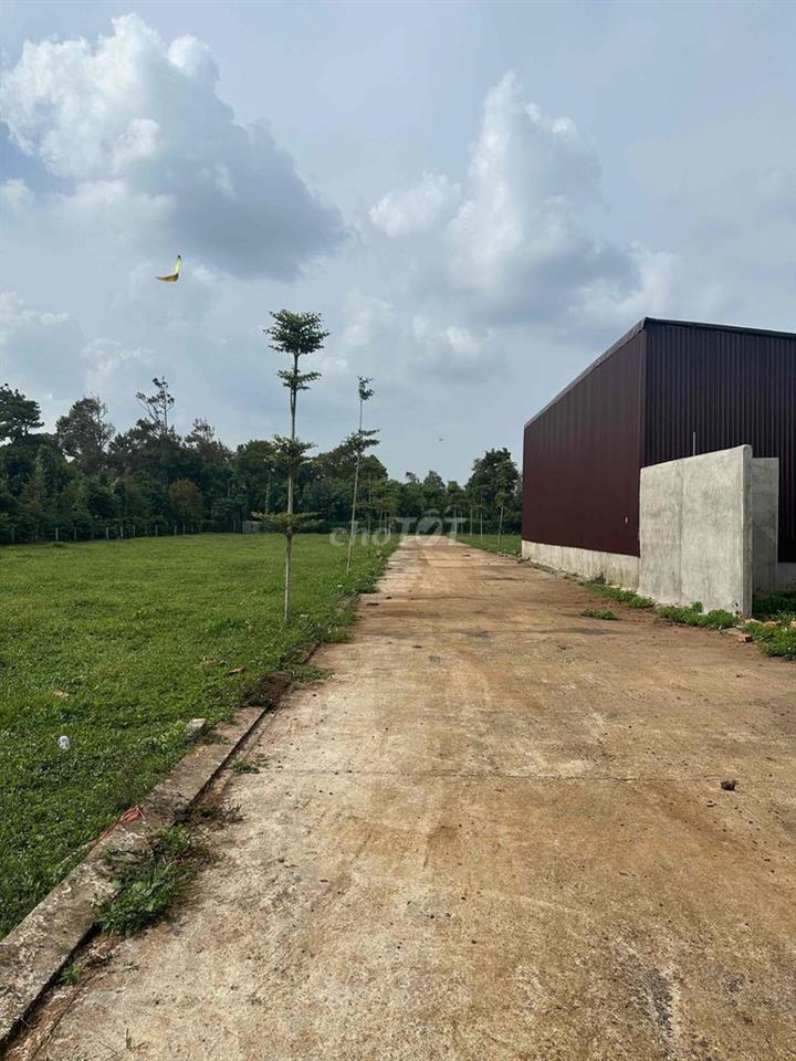 Đất gần thành phố dành cho những bạn trẻ mới lập nghiêp