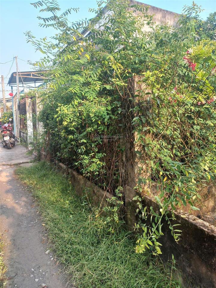 Cần bán 106 ,9 m2 đất thổ cư ngay trường học hưng long, bình chánh