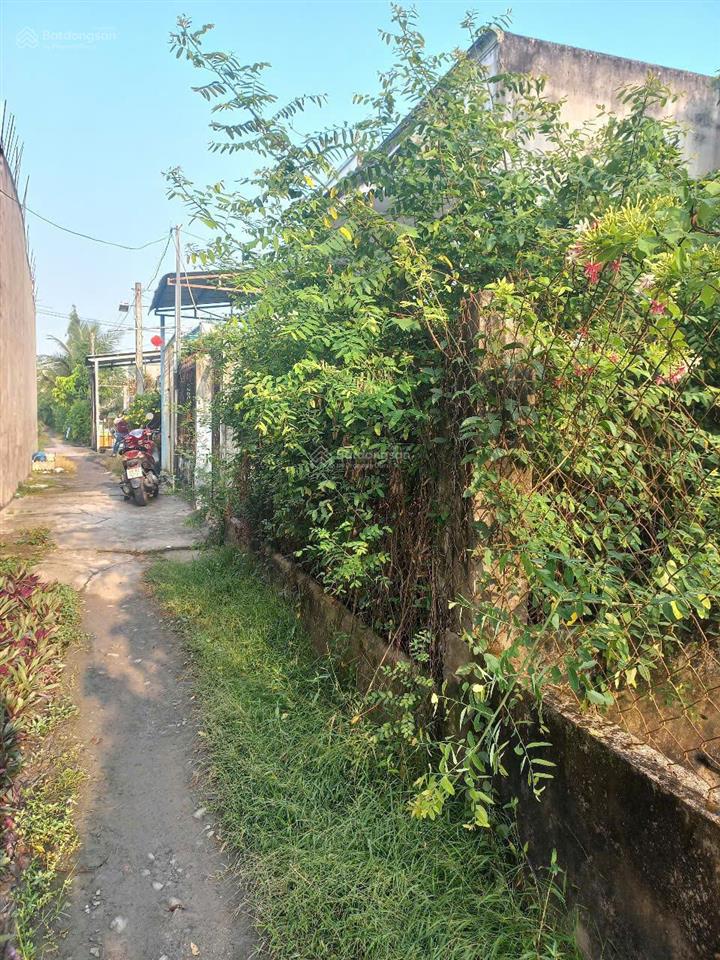 Cần bán 106 ,9 m2 đất thổ cư ngay trường học hưng long, bình chánh