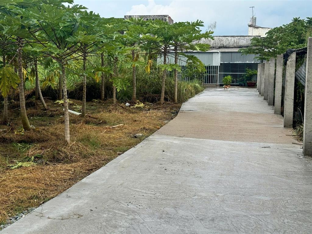 Đất thổ cư ngay đường nguyễn văn thời, hưng long, bình chánh. giá 1,7 tỷ