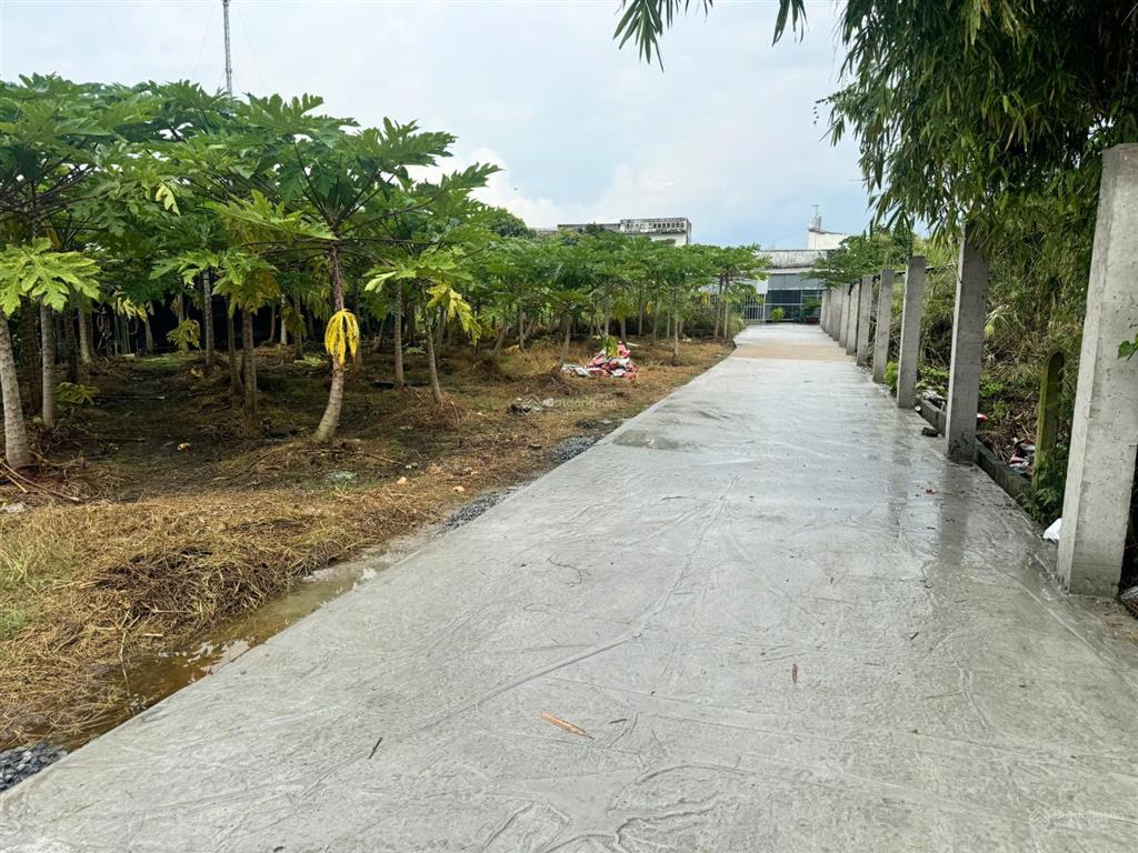 Đất thổ cư ngay đường nguyễn văn thời, hưng long, bình chánh. giá 1,7 tỷ