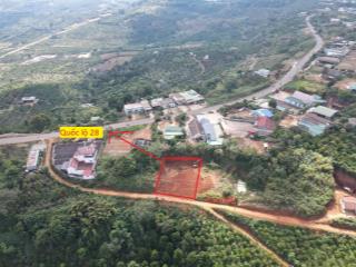 Đất đẹp gần trung tâm di linh giá chỉ 550 triệu thương lượng
