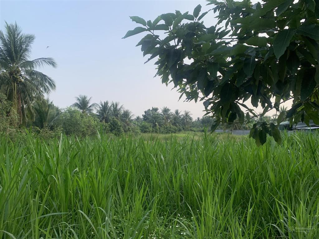 Đất thổ cư ngay sát lộ nhựa lớn. cách tỉnh lộ 879 chỉ 300m, ô tô vào tận nơi.