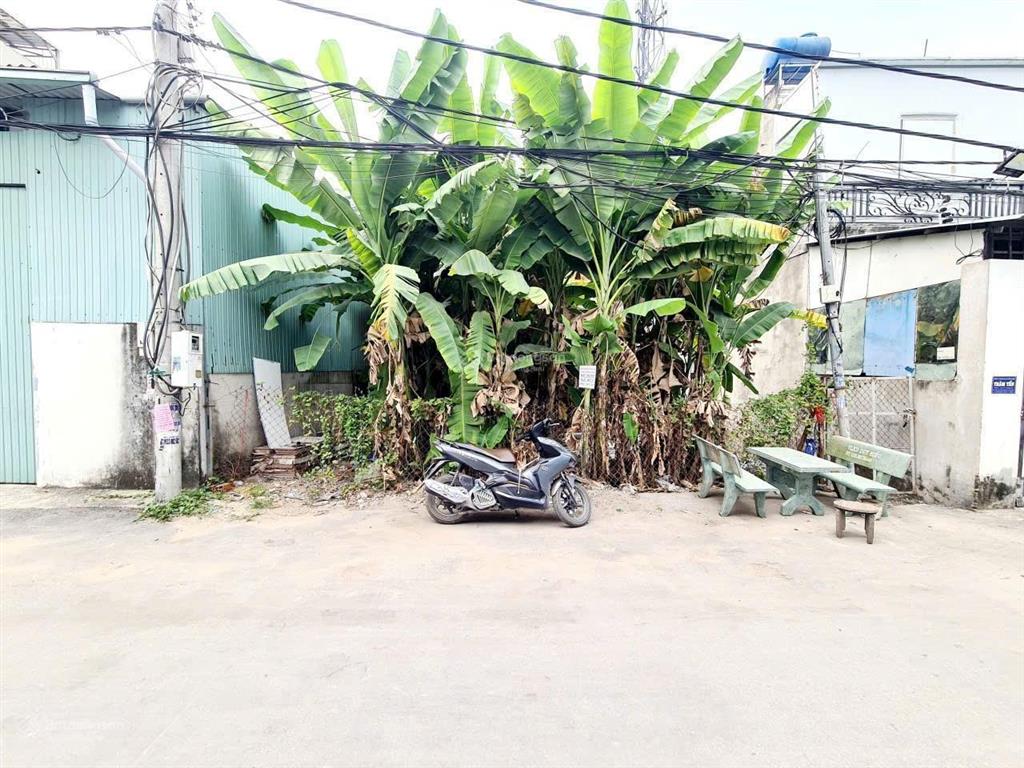 Bán gấp lô đất hẻm 1/ đường apđ3, 8 x 15