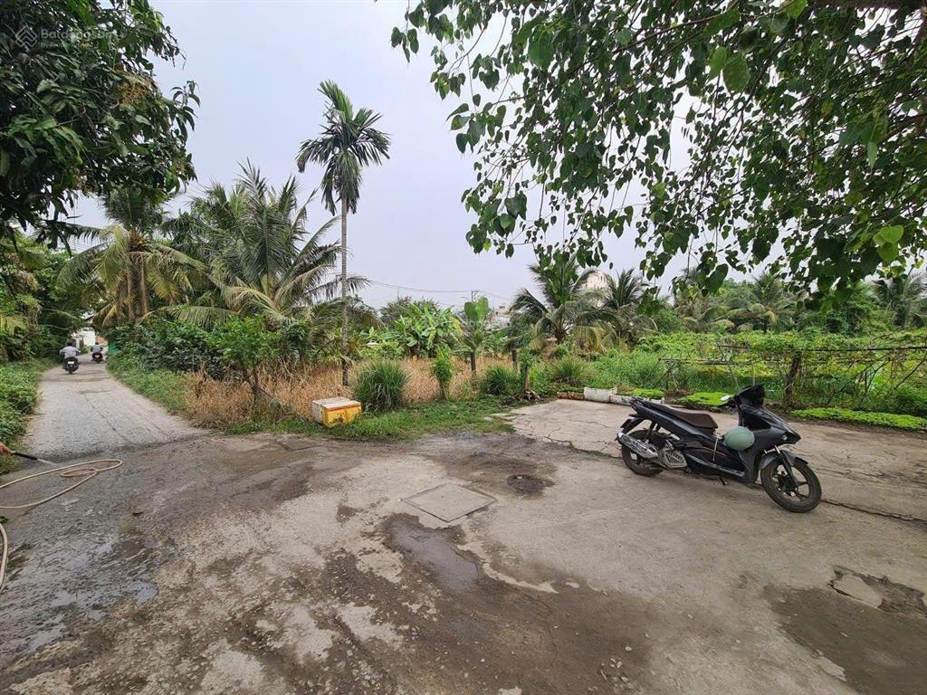 Bán đất hẻm 1/ đường ven sông vàm thuật thông vào vườn lài, 16 x 34