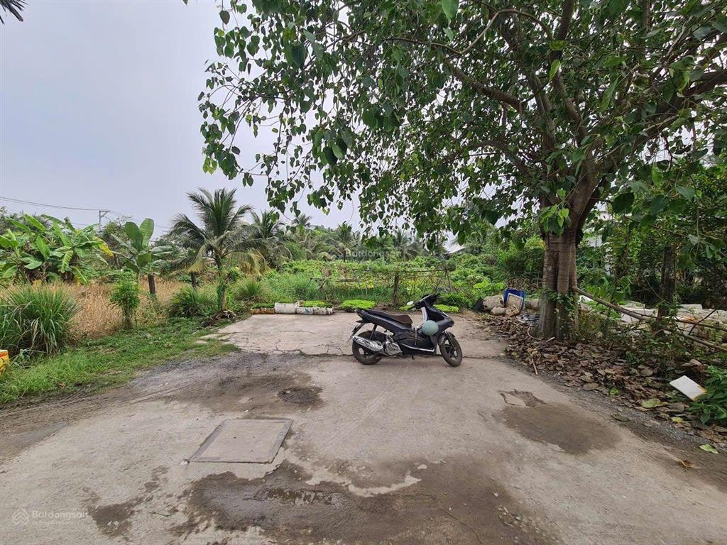 Bán đất hẻm 1/ đường ven sông vàm thuật thông vào vườn lài, 16 x 34