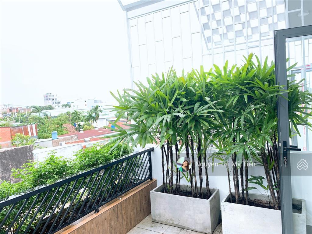 Ngã tư vườn lài  60m² đất, 3 tầng  4pn  3,390 tỷ