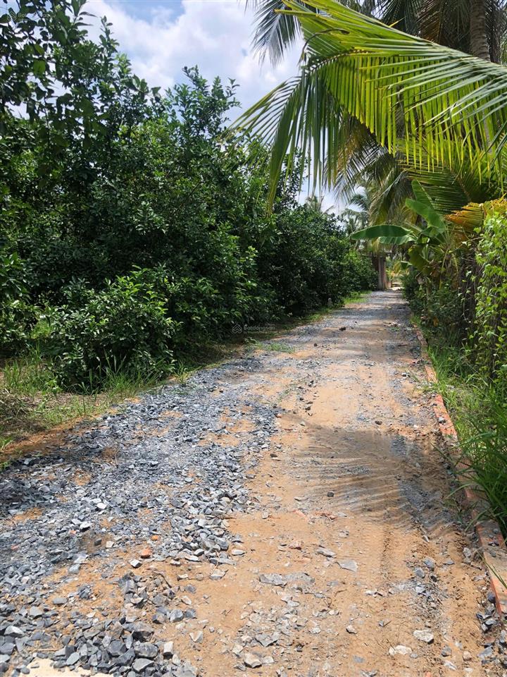 Bán đất long hưng, tiền giang, đồng tháp. 9,10m x 27m = 248m, đường ôtô, sổ hồng, 720 triệu