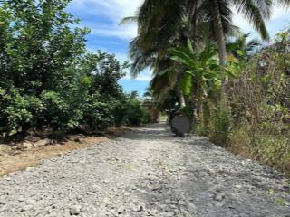 Bán đất vườn, long hưng, tiền giang, đồng tháp. 17,56m x 26,80m= 474m, đường ôtô, sổ hồng, 920triệu