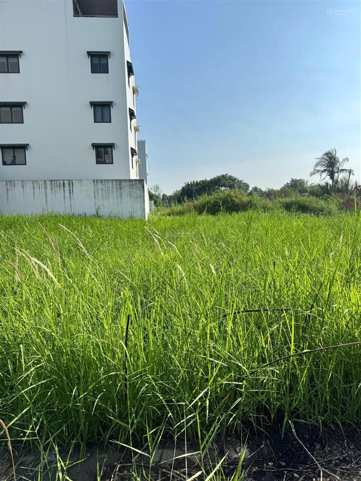 Chính chủ gửi bán nhanh lô đất khu dự án sài gòn chợ lớn khu vực đường phạm thế hiển, phường 7, q8