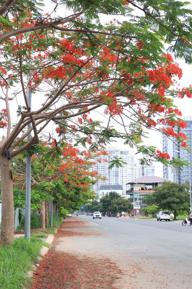 Cần bán tòa nhà ngay ubnd q. 2 sát tttm, đang là văn phòng cho thuê dt 500m2 giá 200tỷ  0906 768 ***