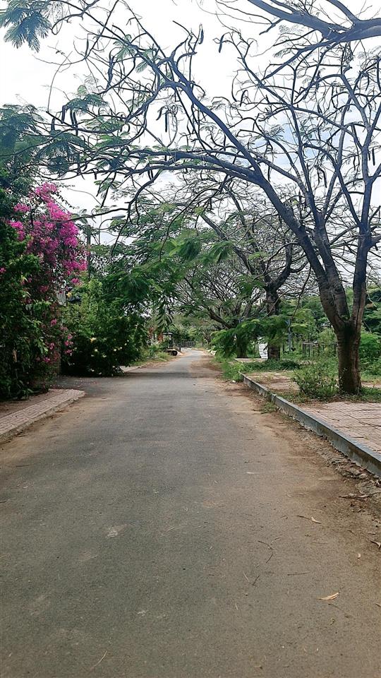 Bán đất dự án bách khoa 7x26m, vị trí đẹp giá đầu tư
