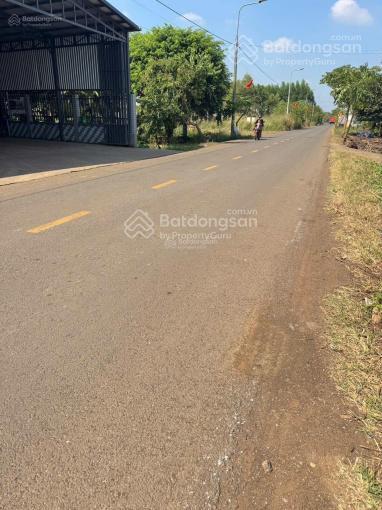 Bán đất ngay sân bay long thành dt 1.500m2 giá cực rẻ