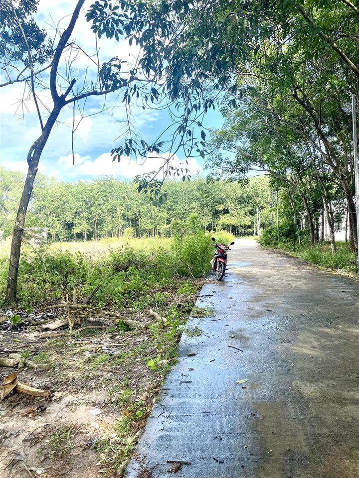 Chính chủ cần bán đất mặt tiền hẻm gần đường lớn sổ hồng rồi gần trường chợ gần khu cn đồng nơ