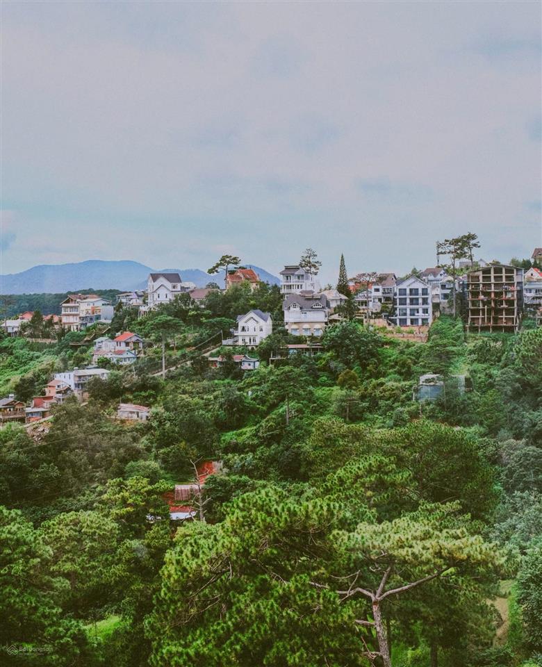 Bán nhà biệt thự, hẻm ôtô thông thoáng, view đồi, gần mây lang thang đà lạt, thích hợp làm homestay