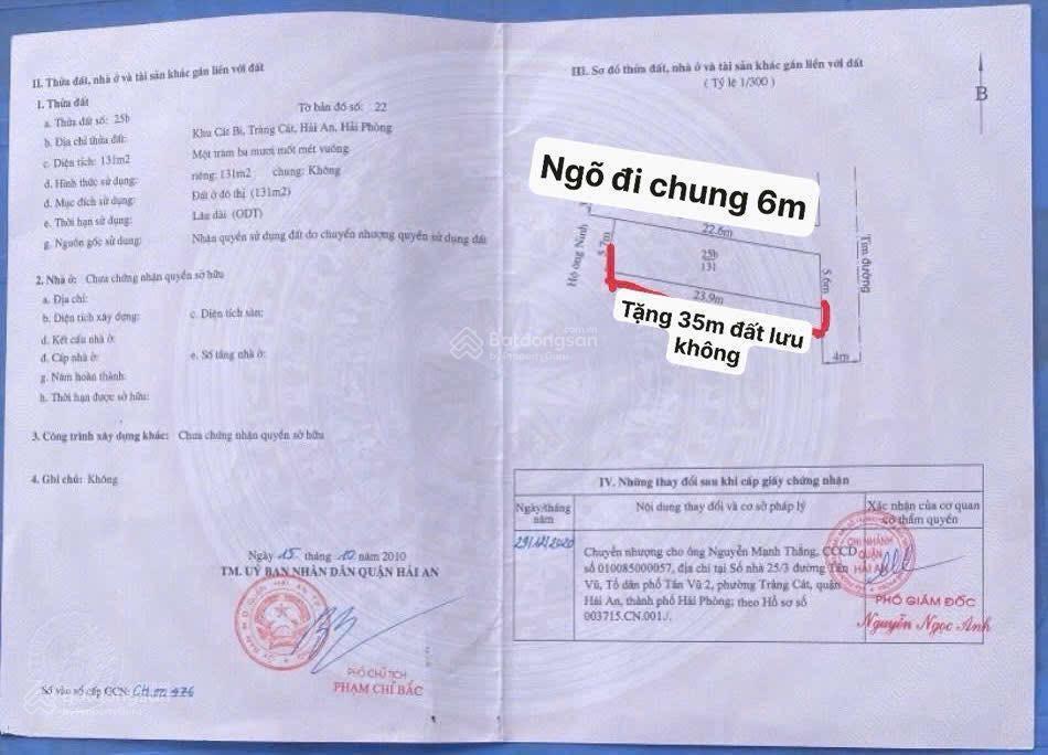 Lô góc mặt đường cát linh siêu đẹp 131m2 ngang 5,6m giá 47tr