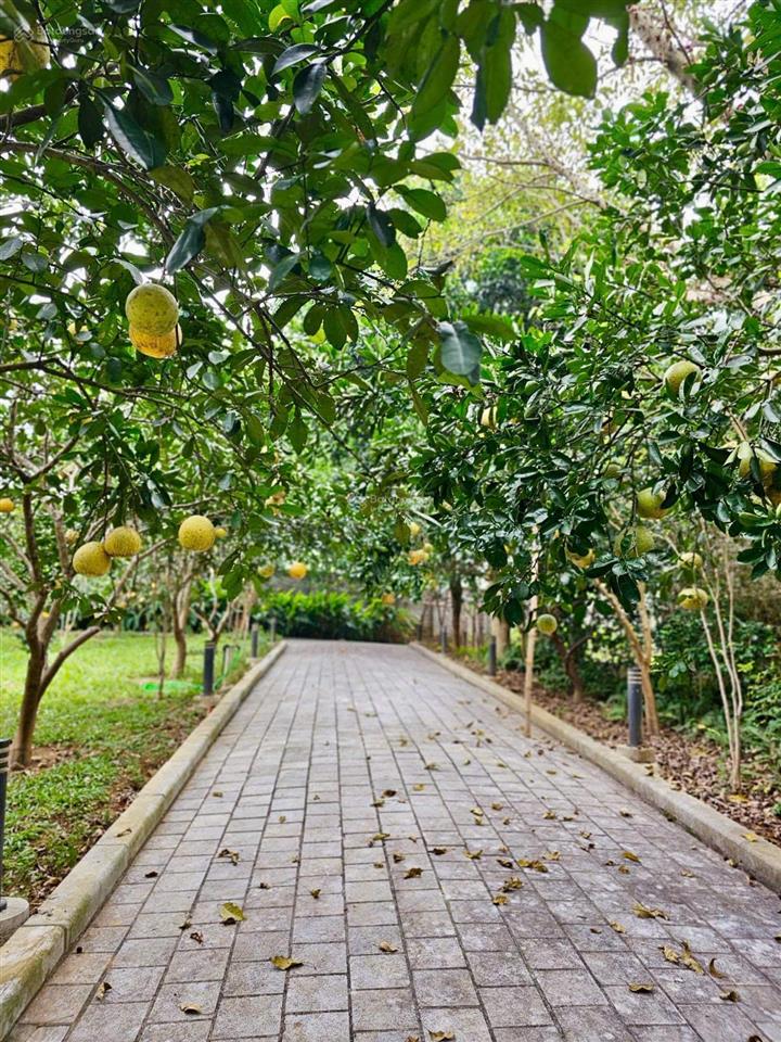 Bán villa nghỉ dưỡng tại đường nam viên, thạch thất, hà nội.