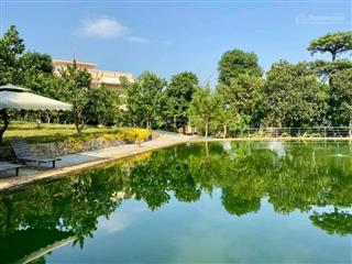 Bán villa nghỉ dưỡng tại đường nam viên, thạch thất, hà nội.