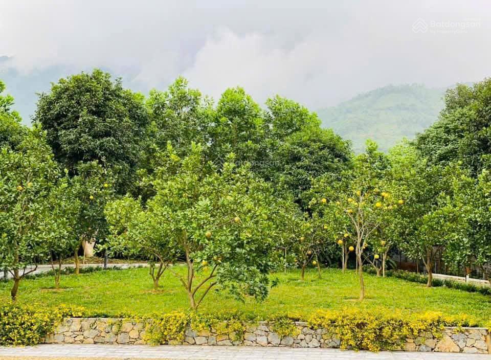 Bán villa nghỉ dưỡng tại đường nam viên, thạch thất, hà nội.