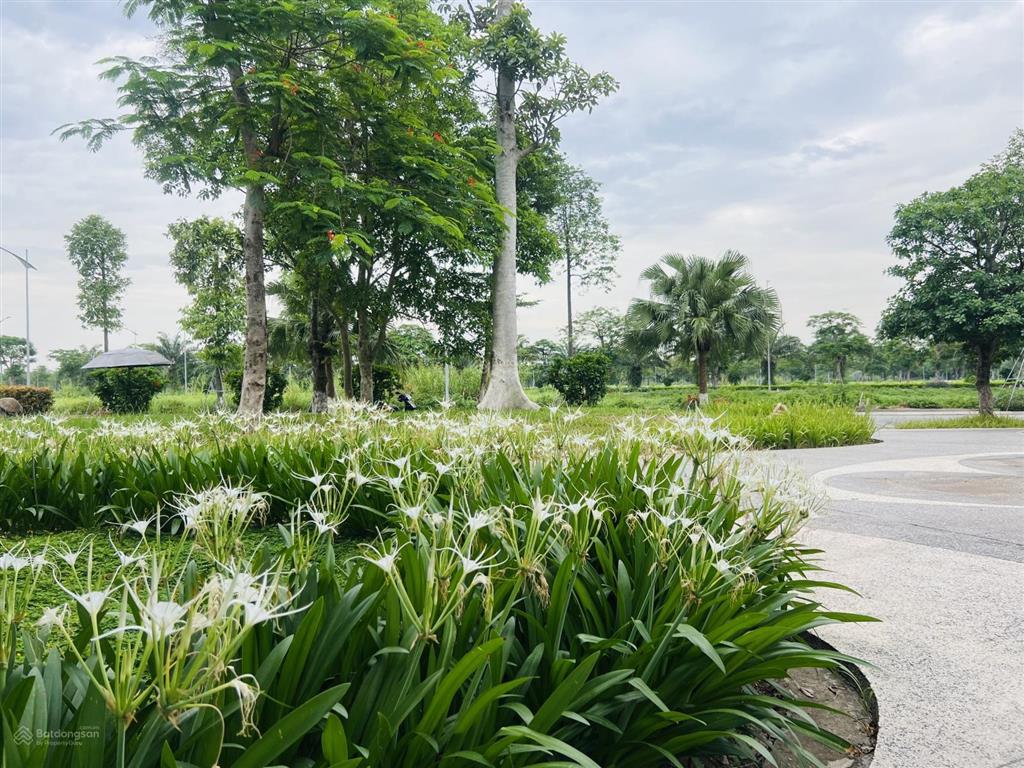 Bảng hàng mới từ chủ đầu tư cực hấp dẫn