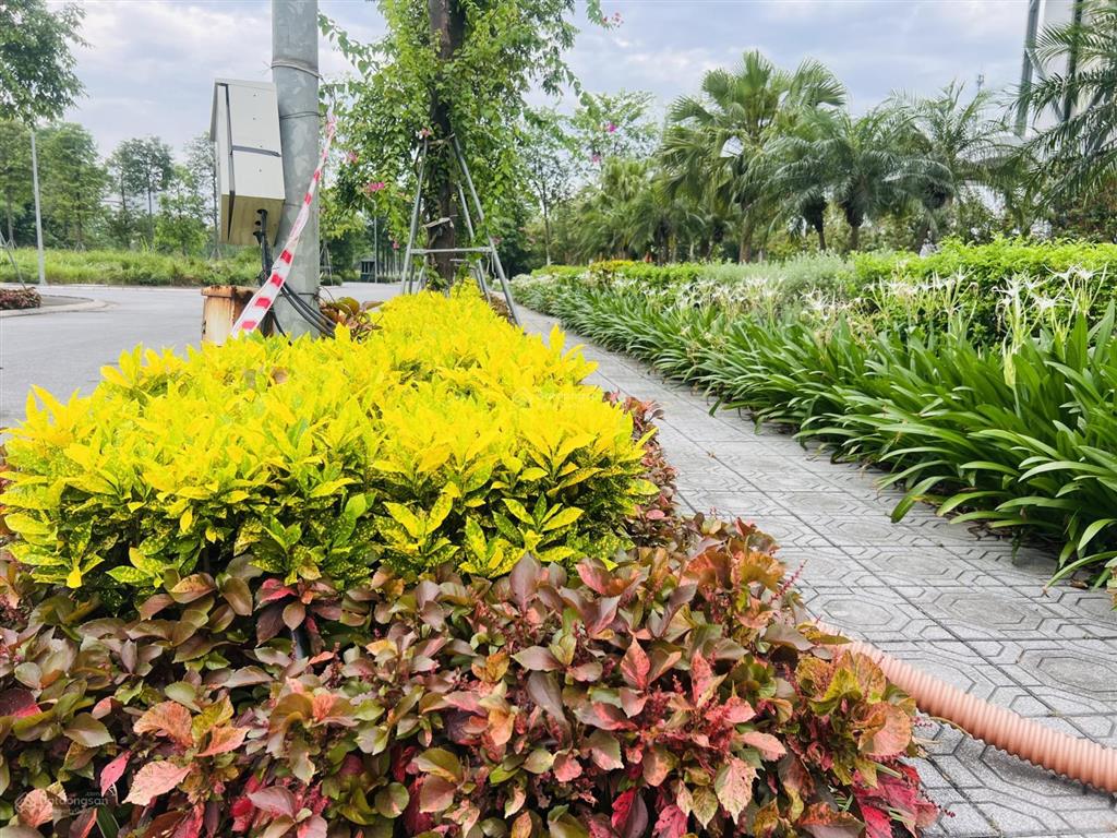 Bảng hàng mới từ chủ đầu tư cực hấp dẫn