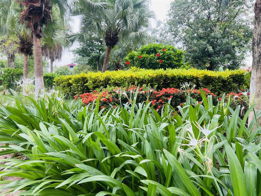Bảng hàng mới từ chủ đầu tư cực hấp dẫn