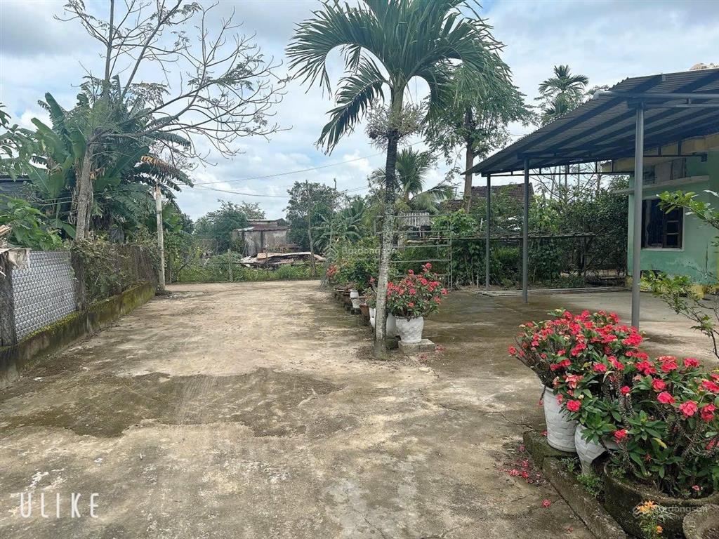 Chính chủ cần chuyển nhượng lô đất tâm huyết
