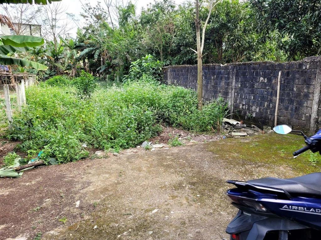 Chính chủ cần chuyển nhượng lô đất tâm huyết