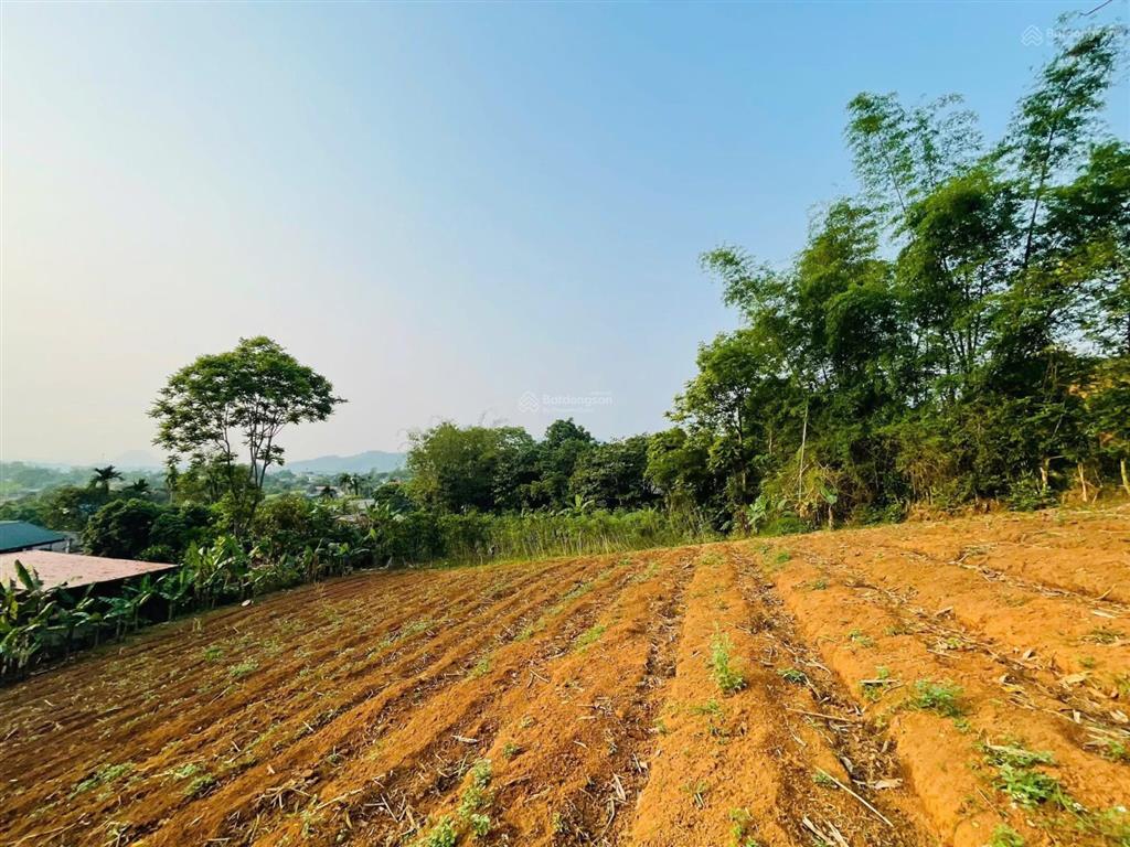 Hót chỉ nhỉnh 1tỷ có 2000m2 co ngay lô đất nghỉ dưỡng tại cao phong hoà bình