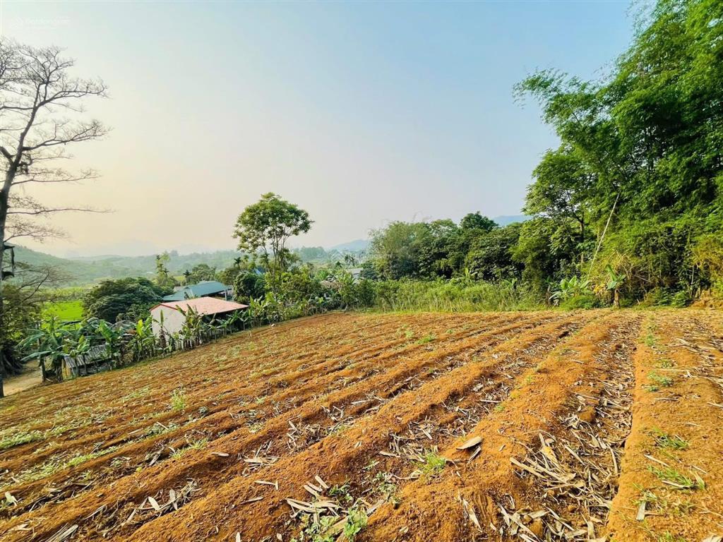 Hót chỉ nhỉnh 1tỷ có 2000m2 co ngay lô đất nghỉ dưỡng tại cao phong hoà bình