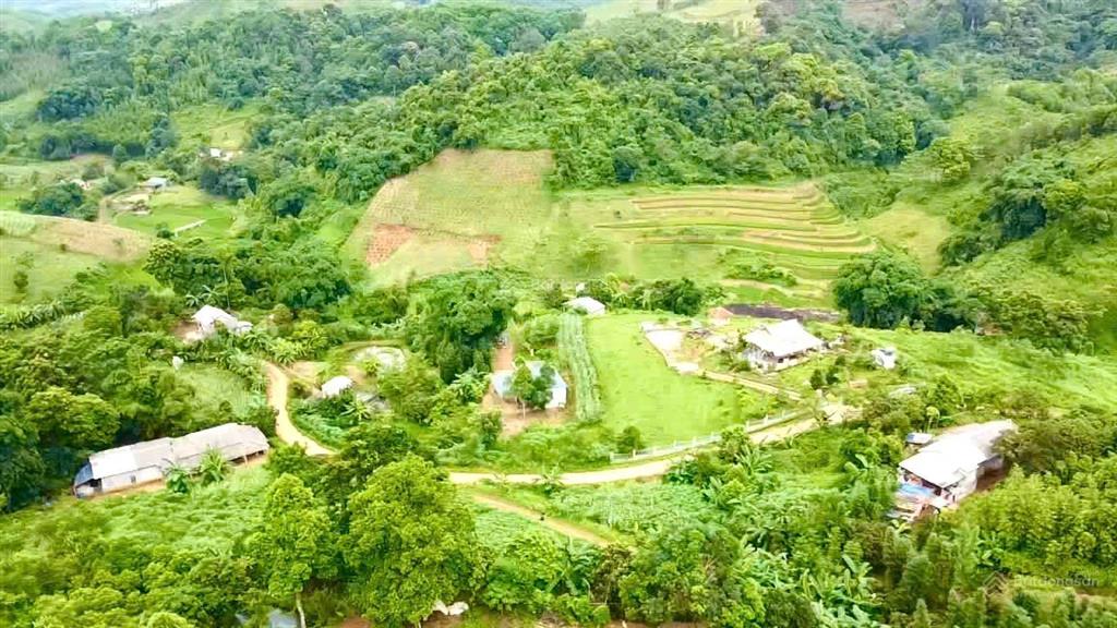 Bán trang trại view đẹp tại cao phong hòa bình chỉ 900 triệu, 3200 m²