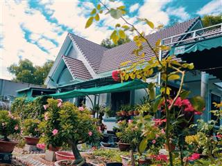 Bán nhà vườn tại phú an, bến cát, bình dương (cũ)