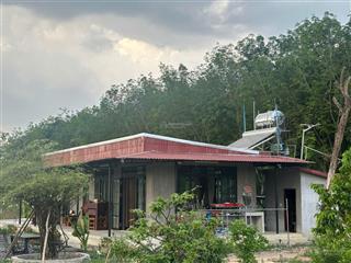 Bán khu nhà vườn 1.867,1m² có nhà tại bình mỹ, bắc tân uyên, giá 7,3 tỷ