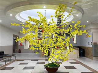 Bán căn 2pn / 91m2 cc phúc yên (tân bình tp. hcm) giá tốt 3,9 tỷ