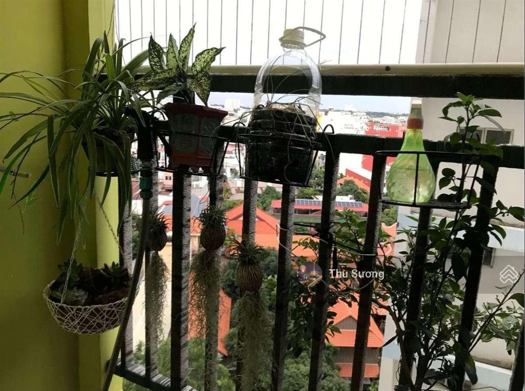 Bán nhà như hình (tầng đẹp) 8x plus sổ cầm tay 63m2 2pn 2wc
