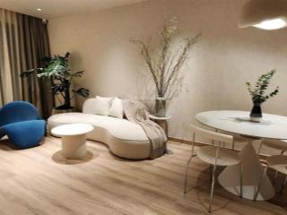Cho thuê cc carillon 2, 9 triệu vnd, 65 m2, 2pn, 2wc tại trịnh đình thảo, tân phú, hcm
