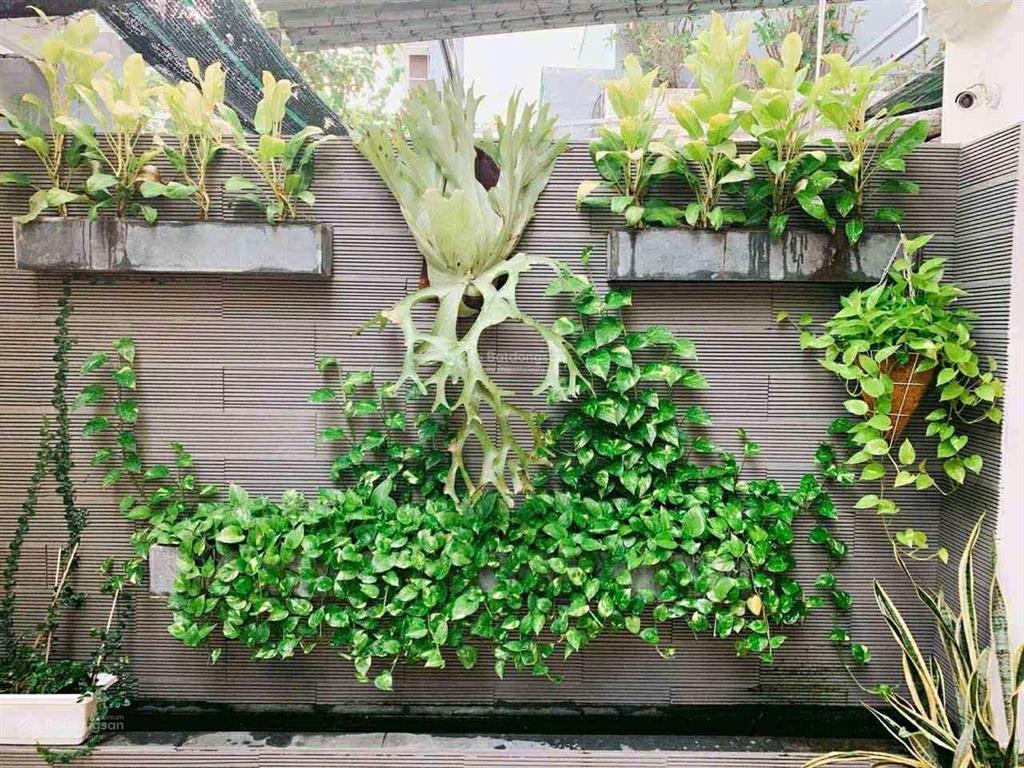 Biệt thự 2,5 tầng đường phú lộc 1. giá gả nhanh 12,2 tỷ (bán bằng giá đất) gần biển