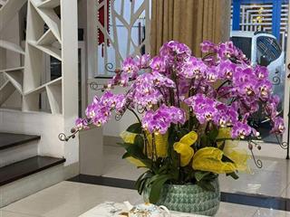 Nhà 3 tầng đường 7m5 lý triện . thanh khê  diện tích 100m2 ngang 5m hướng đông