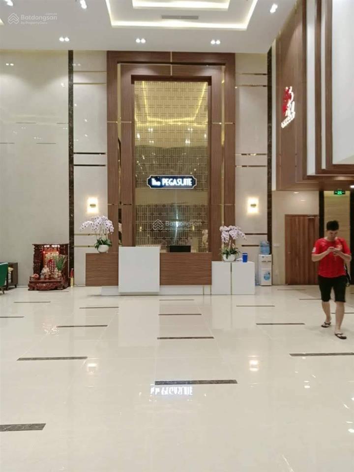 Bán căn hộ cao cấp pegasuite 1  đã có sổ, nh hỗ trợ vay 80%  nhà mới vừa sơn sửa, lót full sàn gỗ
