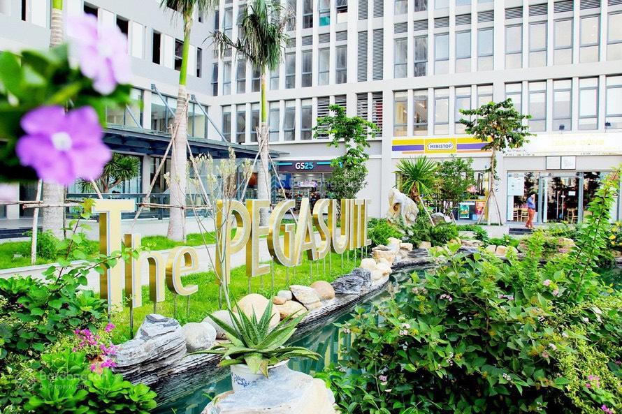 Cho thuê căn hộ 2pn the pegasuite 1  giá cực tốt, nhà đẹp sạch sẽ vào ở ngay!
