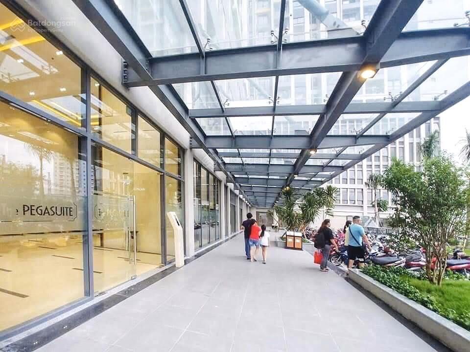 Cho thuê căn hộ 2pn the pegasuite 1  giá cực tốt, nhà đẹp sạch sẽ vào ở ngay!