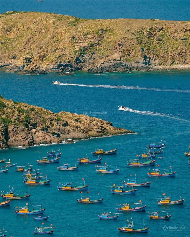 Bán nhà mt hoàng văn thụ quy nhơn giá tốt