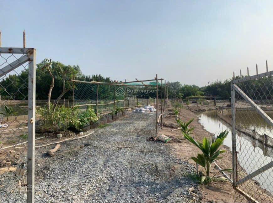 Bán lô đất thổ làm bãi cát mặt tiền đê bao giá 6,5 tỷ