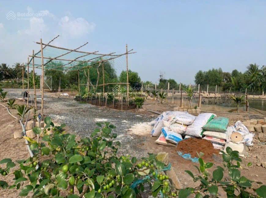 Bán lô đất thổ làm bãi cát mặt tiền đê bao giá 6,5 tỷ